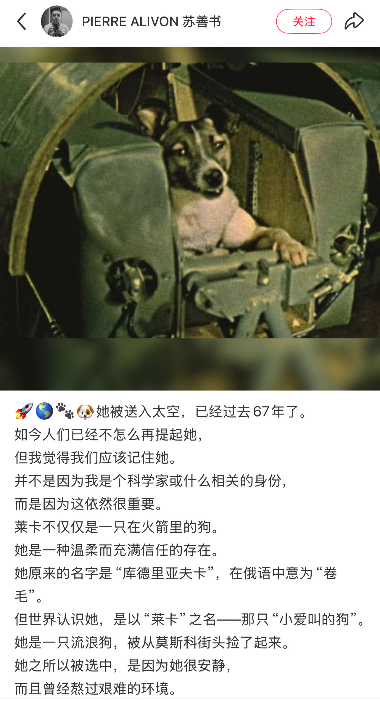 第一只被送上太空的小狗，已经过去67年了​​​