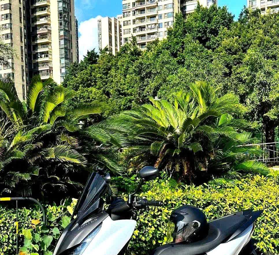加95号油的车，每天30公里通勤要花24块油钱，实在扛不住！试过骑电动自