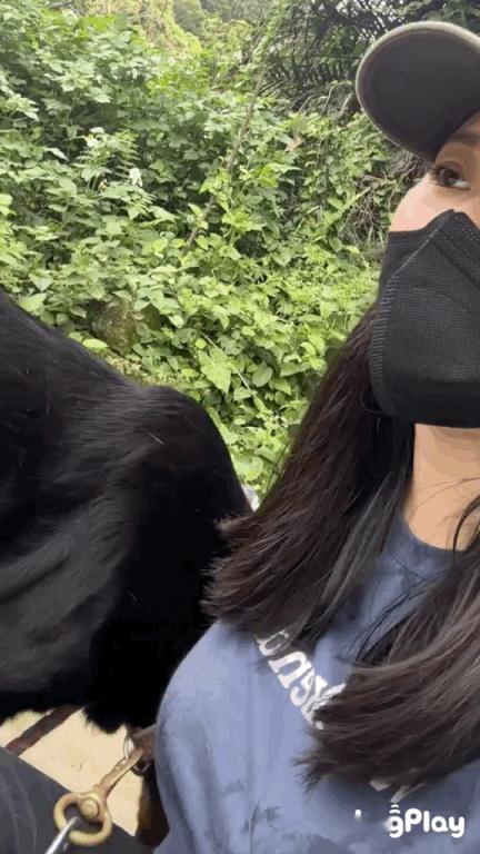 好像有什么东西跳出来了