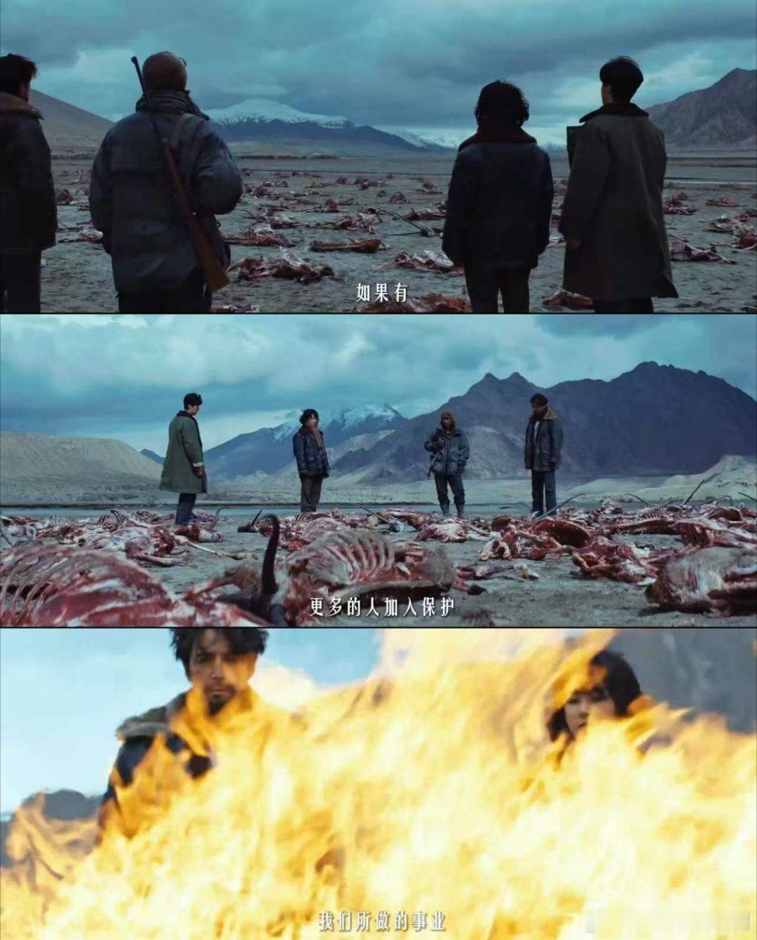 2026年无人区今非昔比了电视剧生命树2026年无人区今非昔比了，《生命树》太真