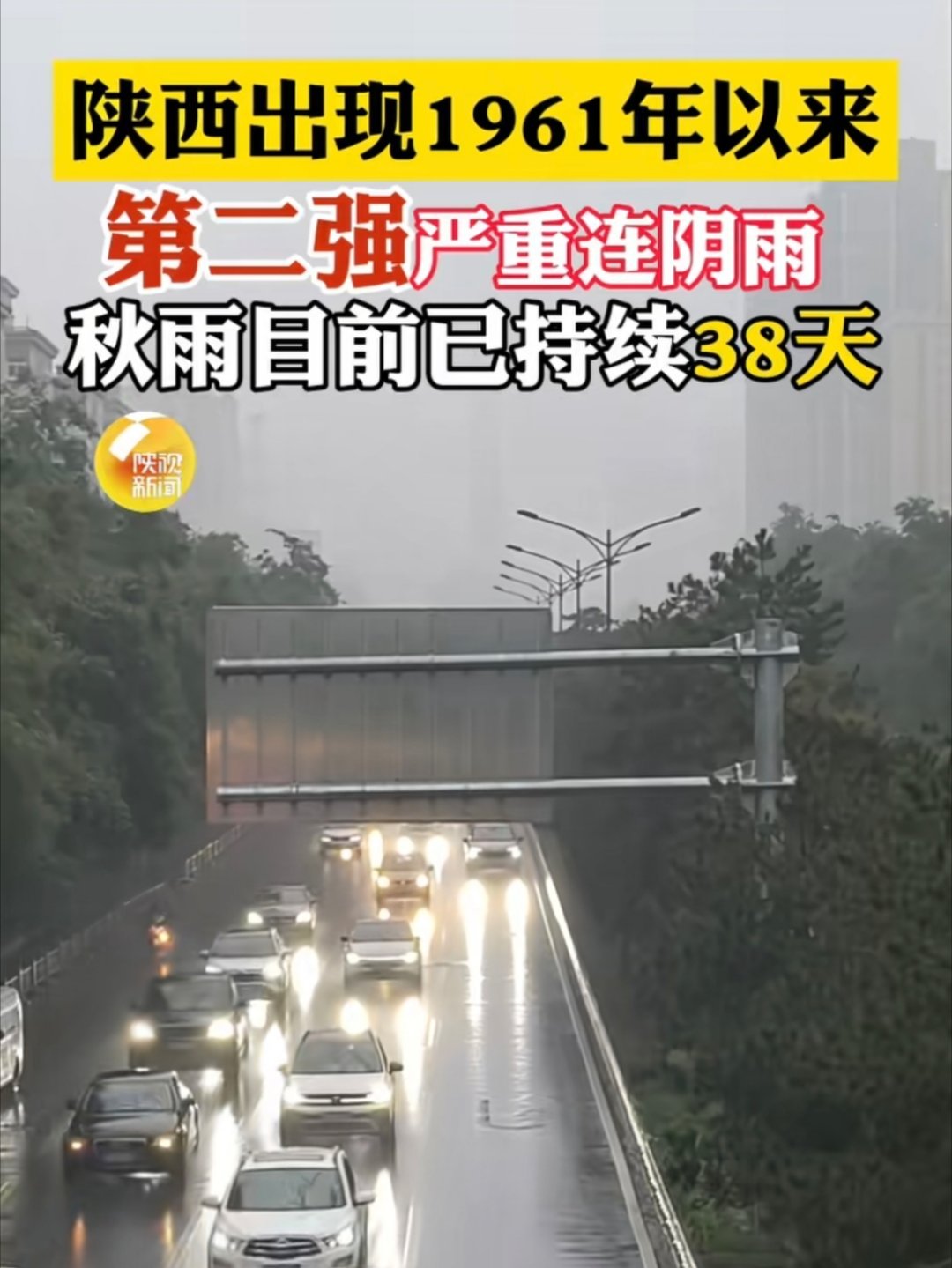 最近雨真多，你们天气哪里咋样？​​​