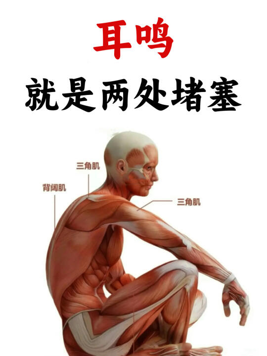 老中医告诉你：很多病都是从耳鸣开始的 - 很多人发现耳鸣后去看医生，西...