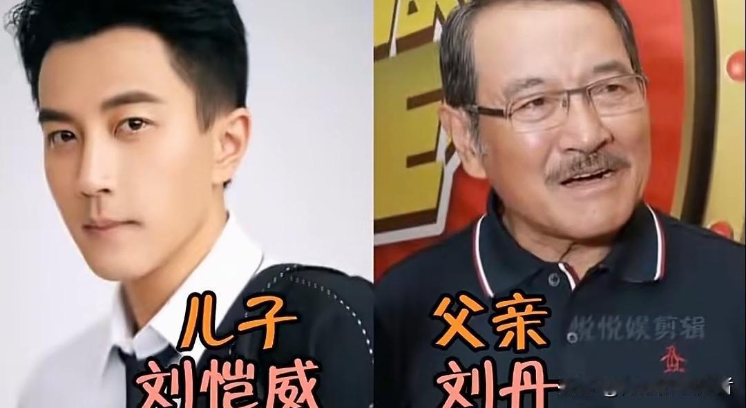 星二代的逆袭：那些“青出于蓝”的父子档。在演艺圈的代际传承里，不少父子档上演了