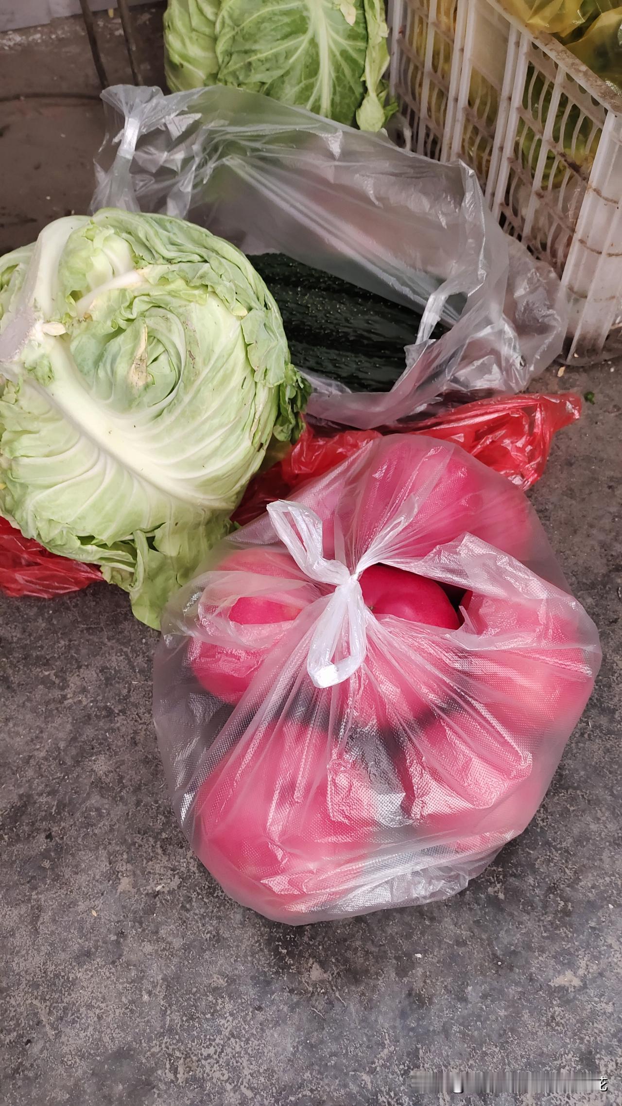 今年的蔬菜好便宜。去对面蔬菜市场买菜，黄瓜1元一斤，大个的西红柿1.6元一斤。