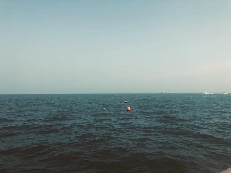 分享一张超美的落日大海图！落日悬于天际，将大海裹入融融暖光。海面波光粼粼，像铺了