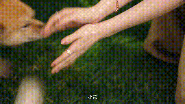2025年10月2日，演员刘亦菲在微博发布一组外出照片，其中一只全身蓬松卷毛、被