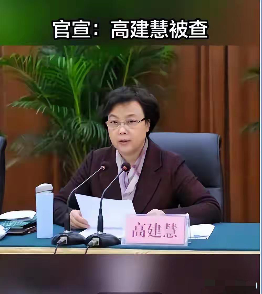 监督别人的人，绝不能成为监督的死角！巡视组“内鬼”高建慧被双开，给所有手握公
