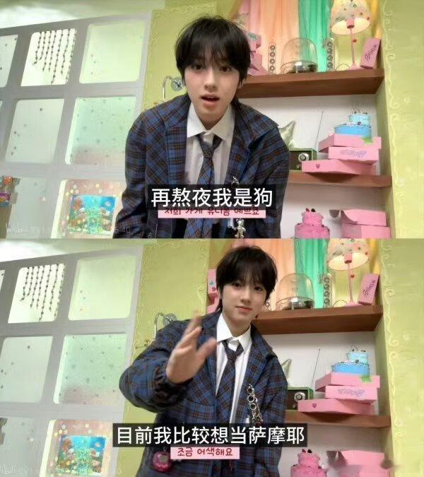 目前比较想当边牧​​​