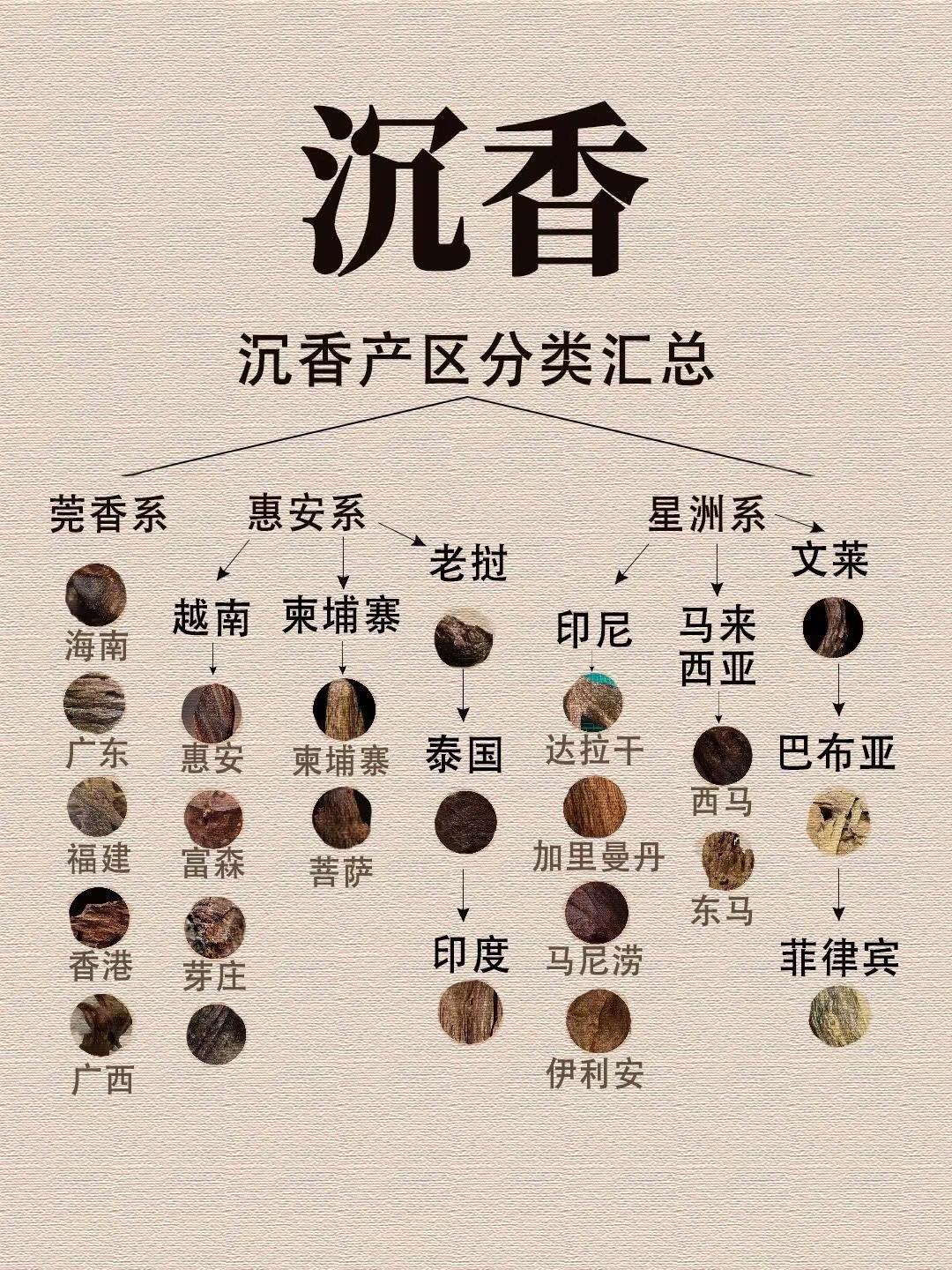 沉香入门必看❗️沉香产区分类汇总。🌿莞香系核心产区集中于中国境内——广东（