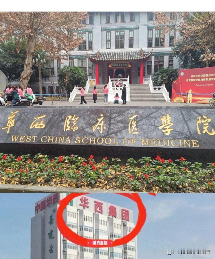 华西医院院长这几天头大，人在家中坐，锅从天上来，两个瓜接连砸，结果呢，骂声全冲