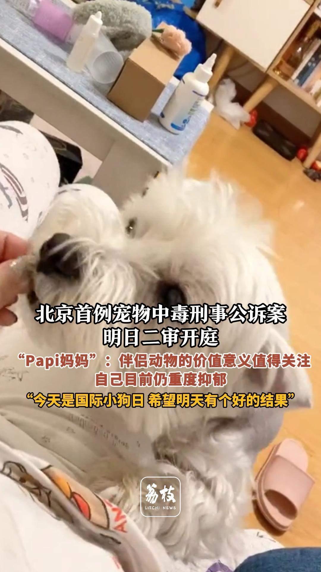 北京宠物狗案二审，原告李女士又提出新诉求，如果成立被告张老汉卖血也难还债