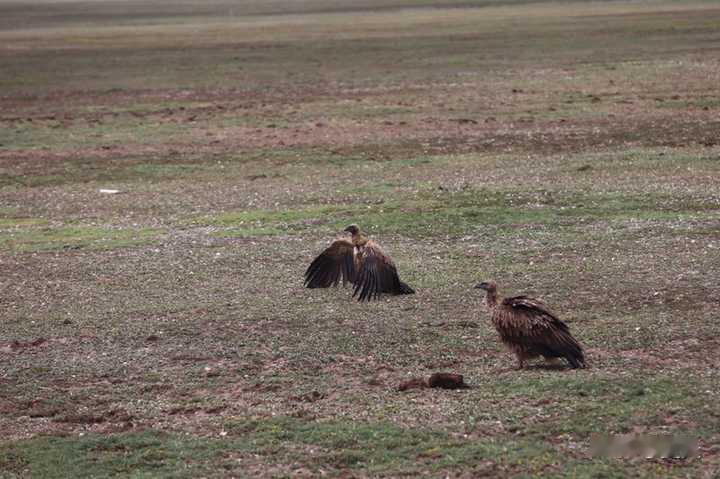 自驾游时，哪段经典路线被你解锁了小众看点或玩法？分享自驾游路上的小众旅行经历。