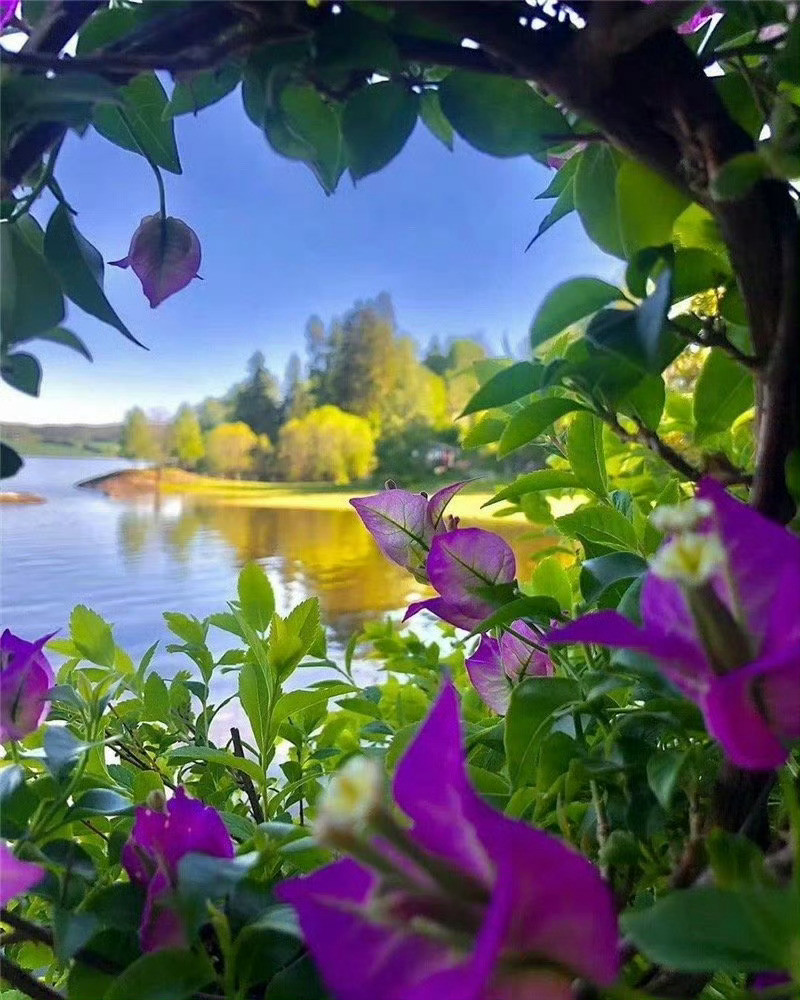 花湖，画湖，太美了！