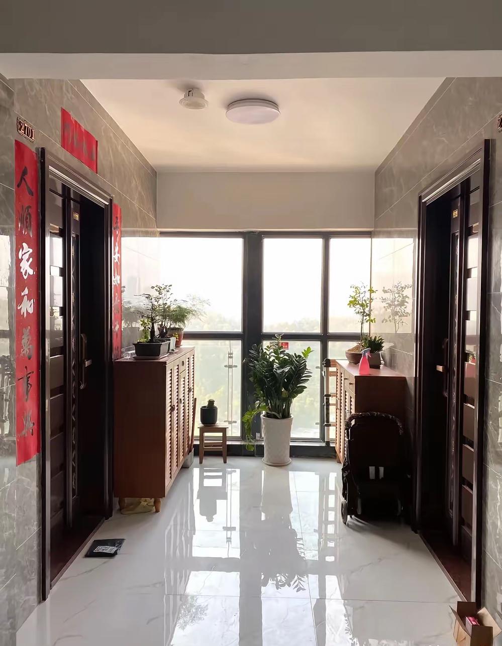 我上周瞒着我哥坐了六个小时高铁去深圳看我妈，到地方心凉了半截。我