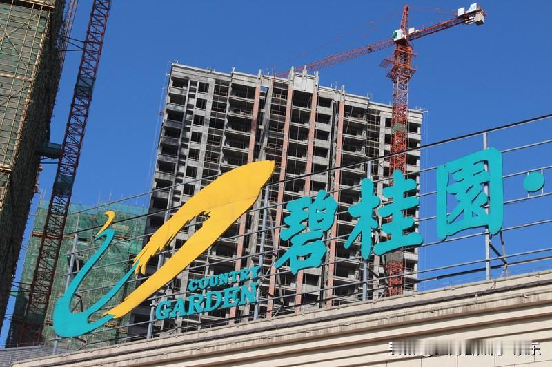 这几年国内房价下跌，给社会带来的代价还是挺大的。在2015年之后的棚改涨房价去