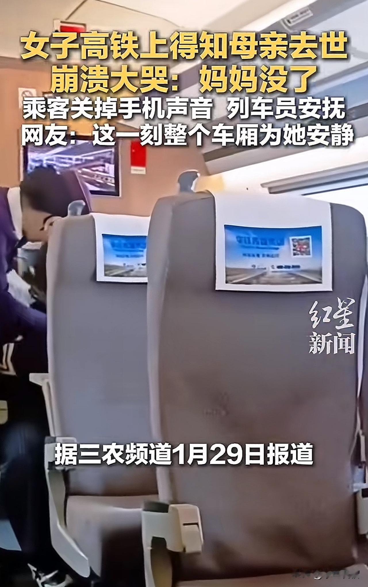这一幕让人心疼！1月29日，一女子在坐高铁赶回家的途中，忽然接到电话得