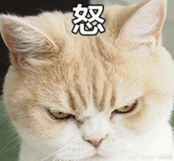 苦瓜脸的失眠上周治一42岁男患者，早醒，他的脸就像图片里的猫一样，窝成一团，眉头