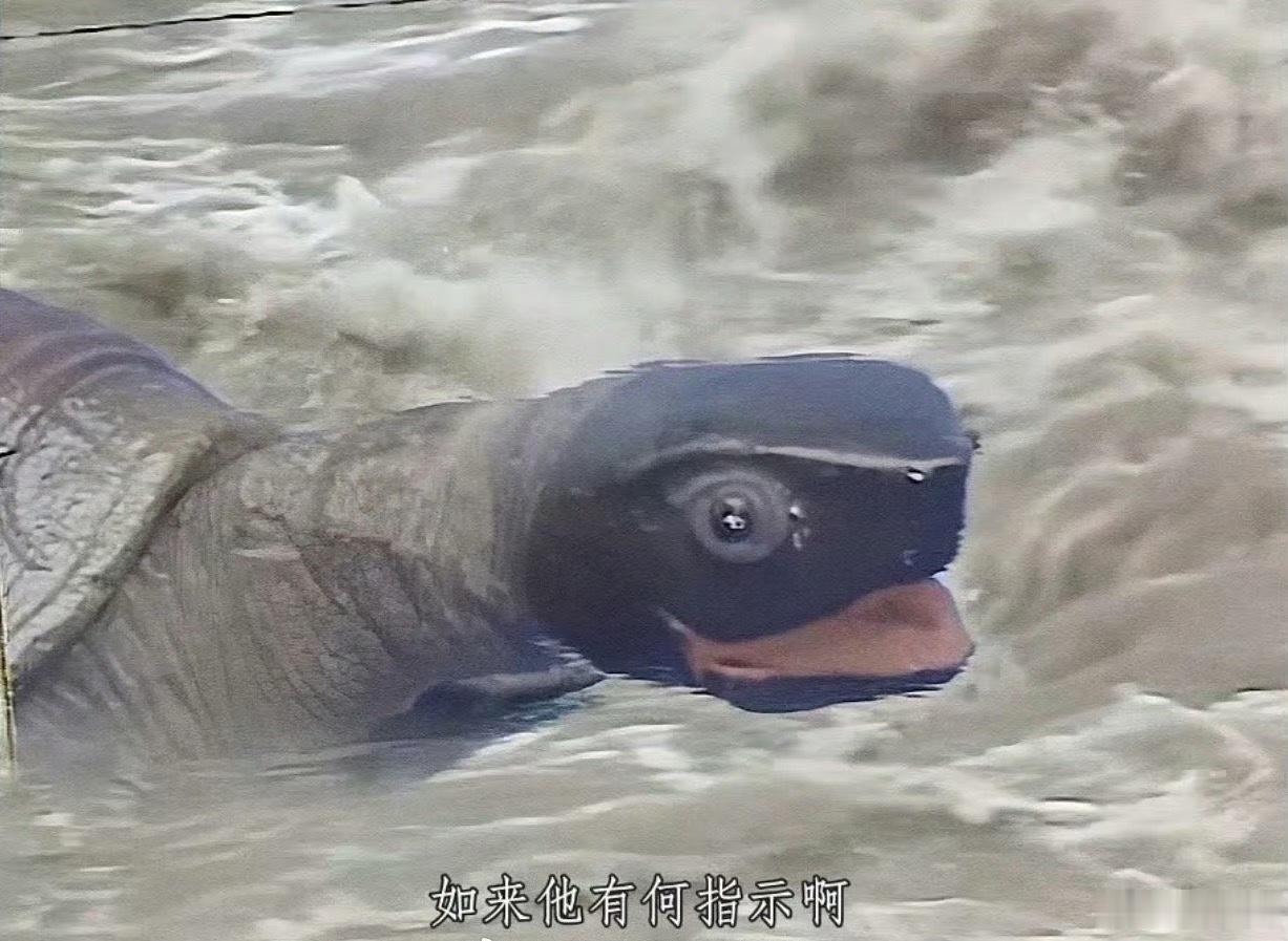 西游记的五毛钱特效，当年看的时候竟然没觉得离谱