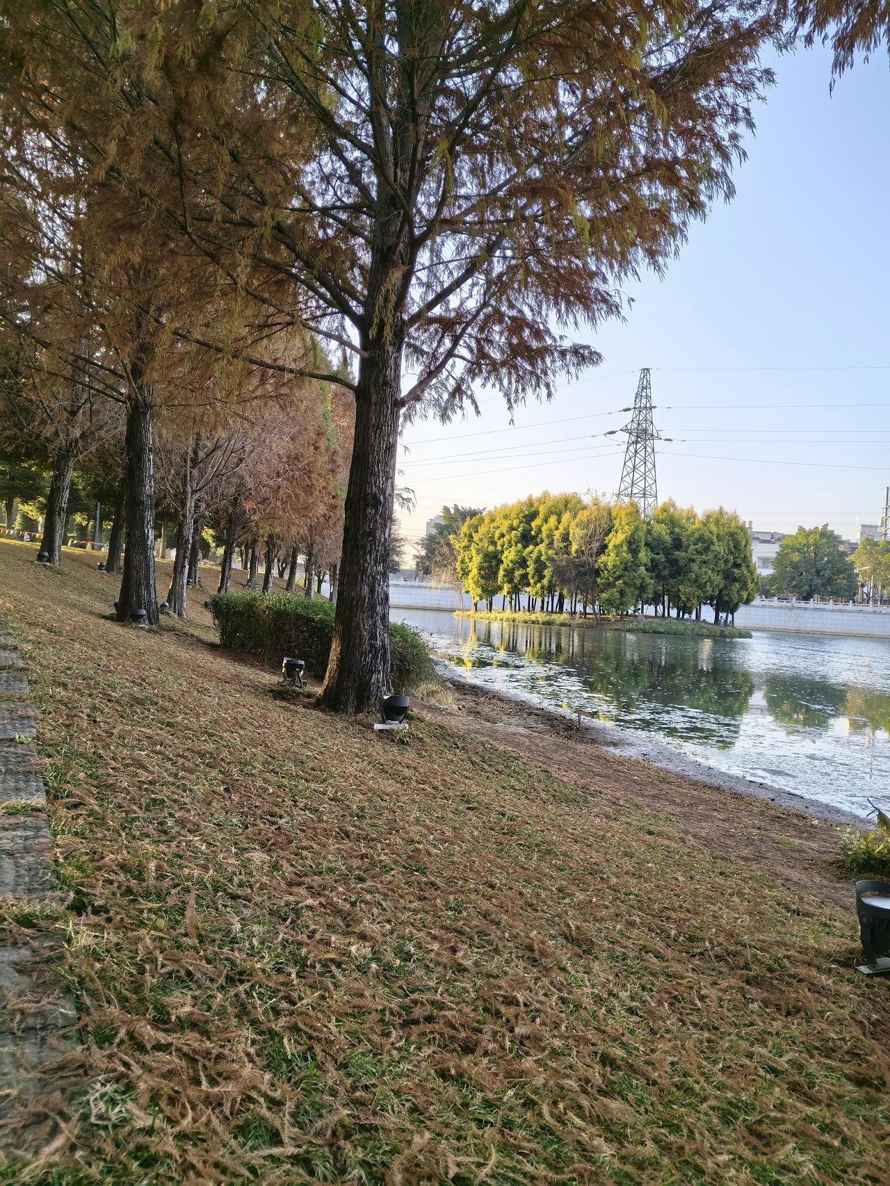 读书的一个习惯早些年读书的时候，喜欢把句子摘抄下来，得闲的时候多读几遍，仔细品