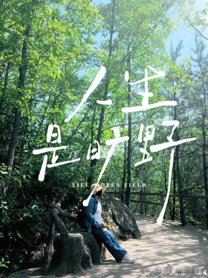 五一的时候，开车在商洛的大山里转了一天，真的太开心了。远离城市的喧嚣，在山谷里畅