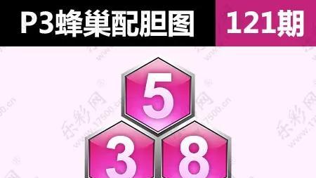 体P3121期数字入围大合集