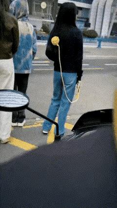 女孩到底在“遛”什么！路口等红灯也能喝杯茶，我一直没看明白，那个女孩手里牵的到