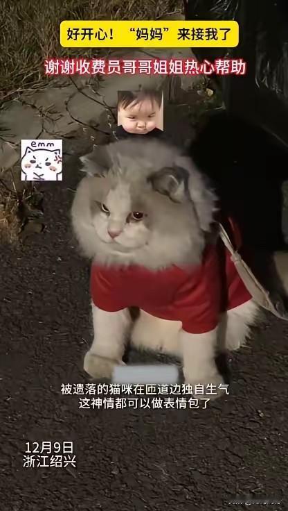 主人粗心大意，把猫咪丢在了收费站，多亏猫咪身上带着这话手表，热心的收费站工作人员