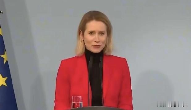 欧盟外长卡拉斯与德国高官会晤，事后却把对方说成另一个人。卡拉斯这是又翻车了，制造