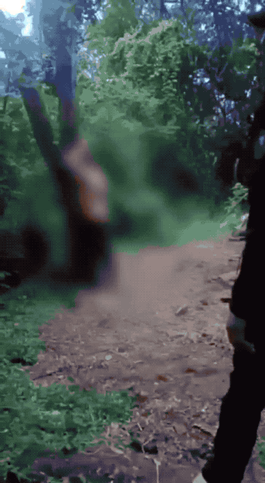 太残暴了：墨西哥黑帮处决对手，居然用火焰喷射器直接烧！来自墨西哥锡那罗亚的视频显