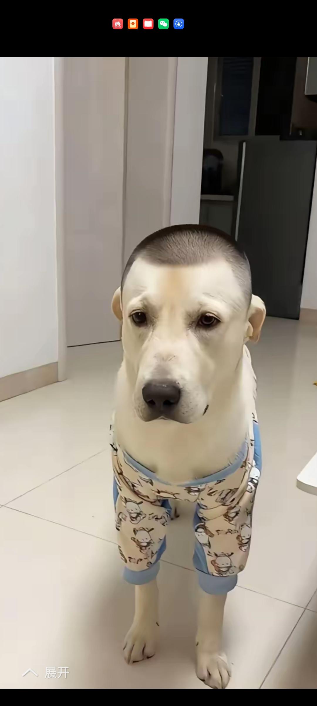 像，太像了，完全像极了……