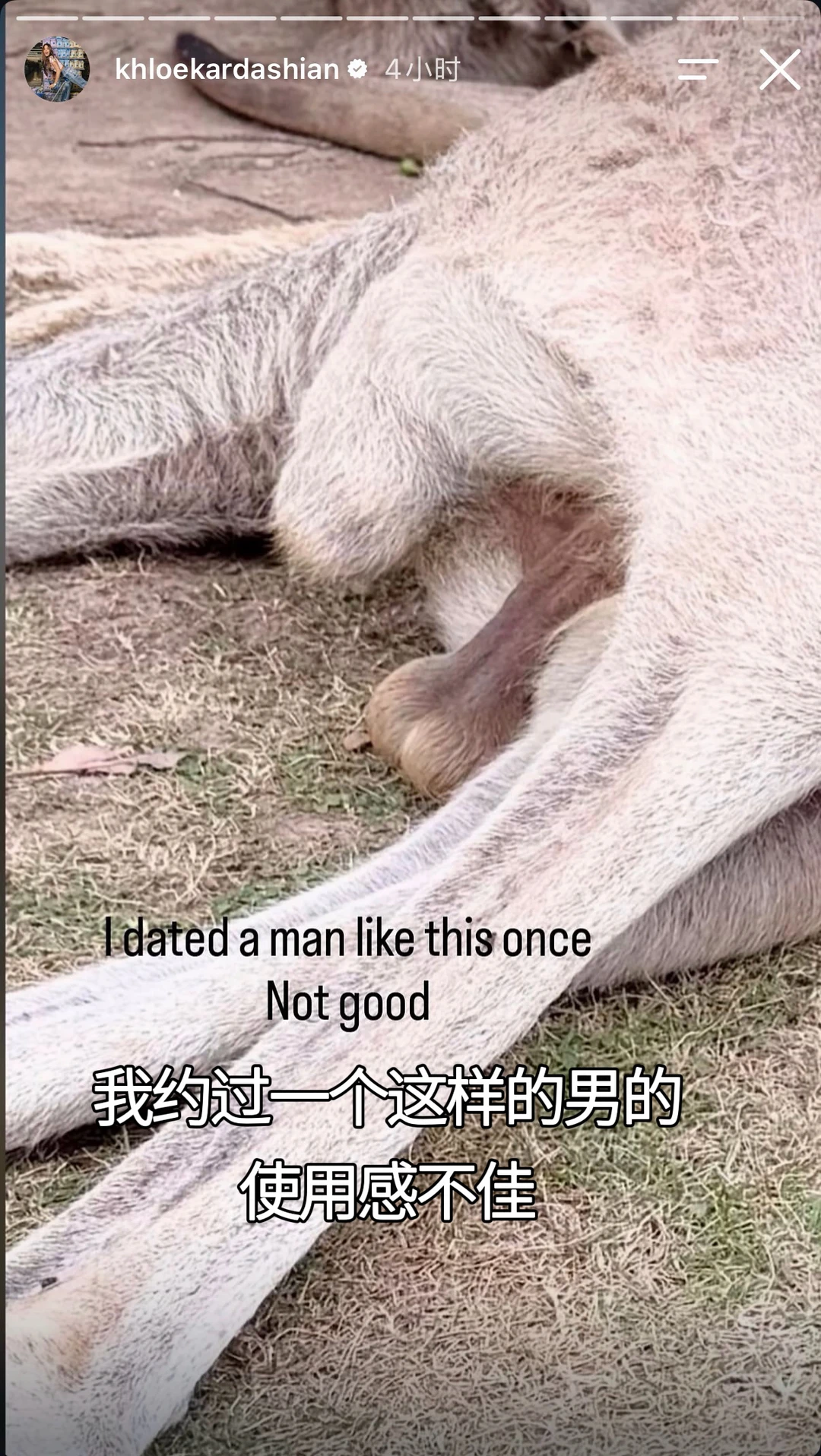 khloe分享上海野生动物园见闻🍆🆘