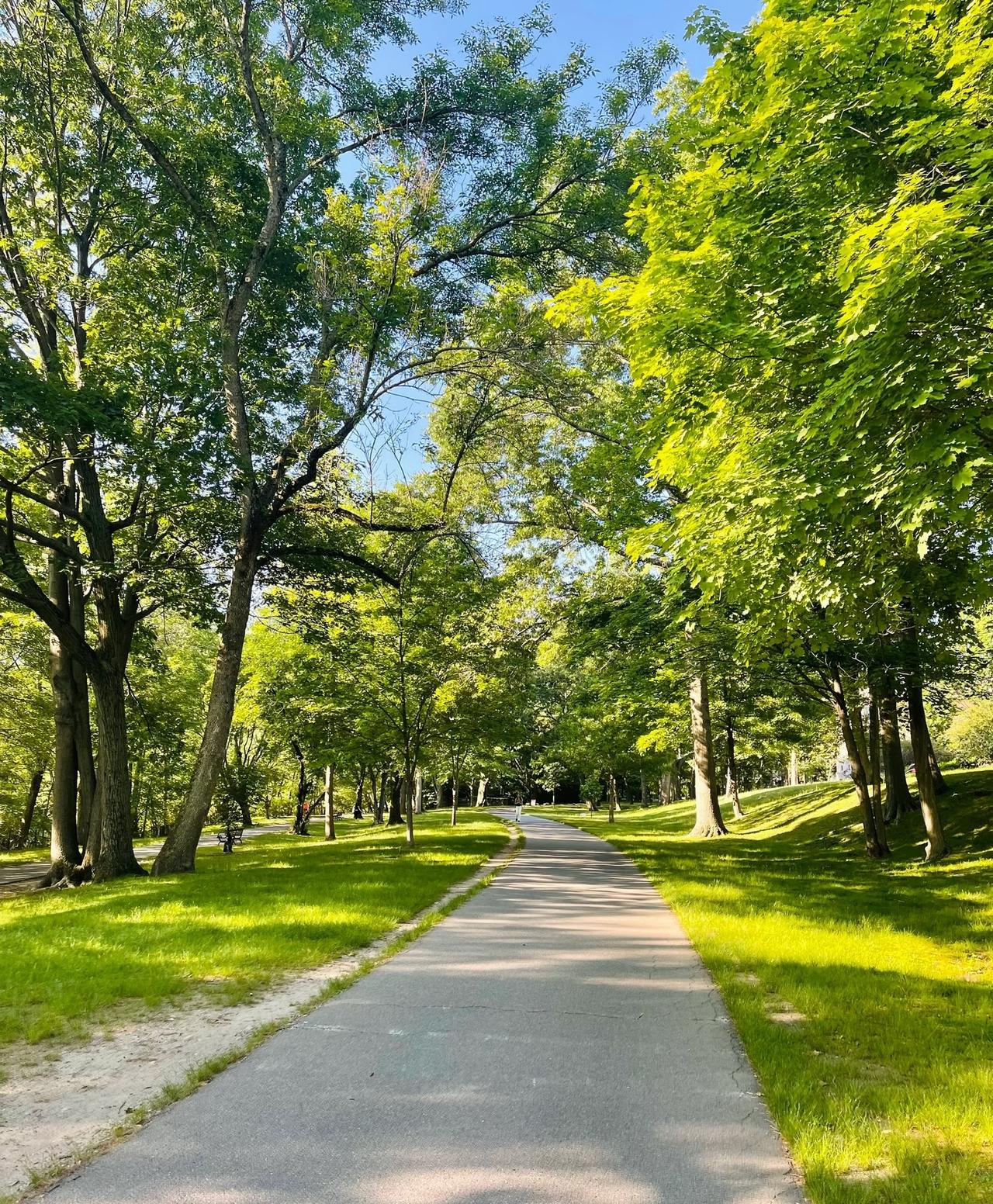 天天跑，真的在“磨坏”你！这些危害比你想象的来得更早凌晨五点的街道、黄昏的