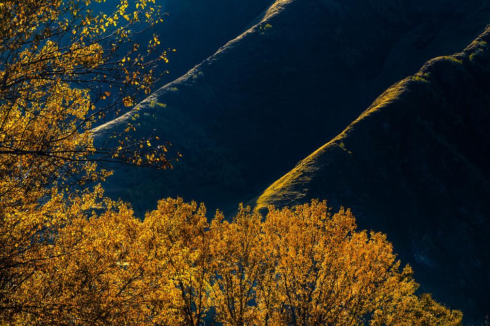 说实话，本来我是不支持高中和大学全面扩招的，因为我觉得很多人没有必要上那么多学，