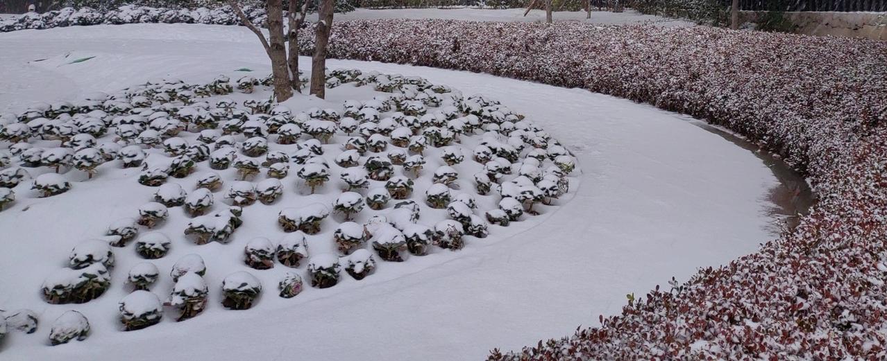白酒为什么开始走衰？“大碗喝酒，大块吃肉”已经不合时宜。喝白酒的队伍不断减员，