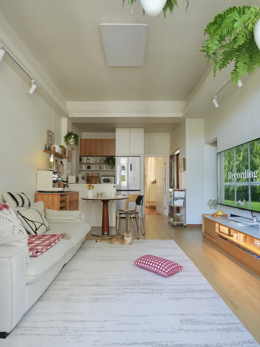 刷到图2⃣️能不能夸下我🥹