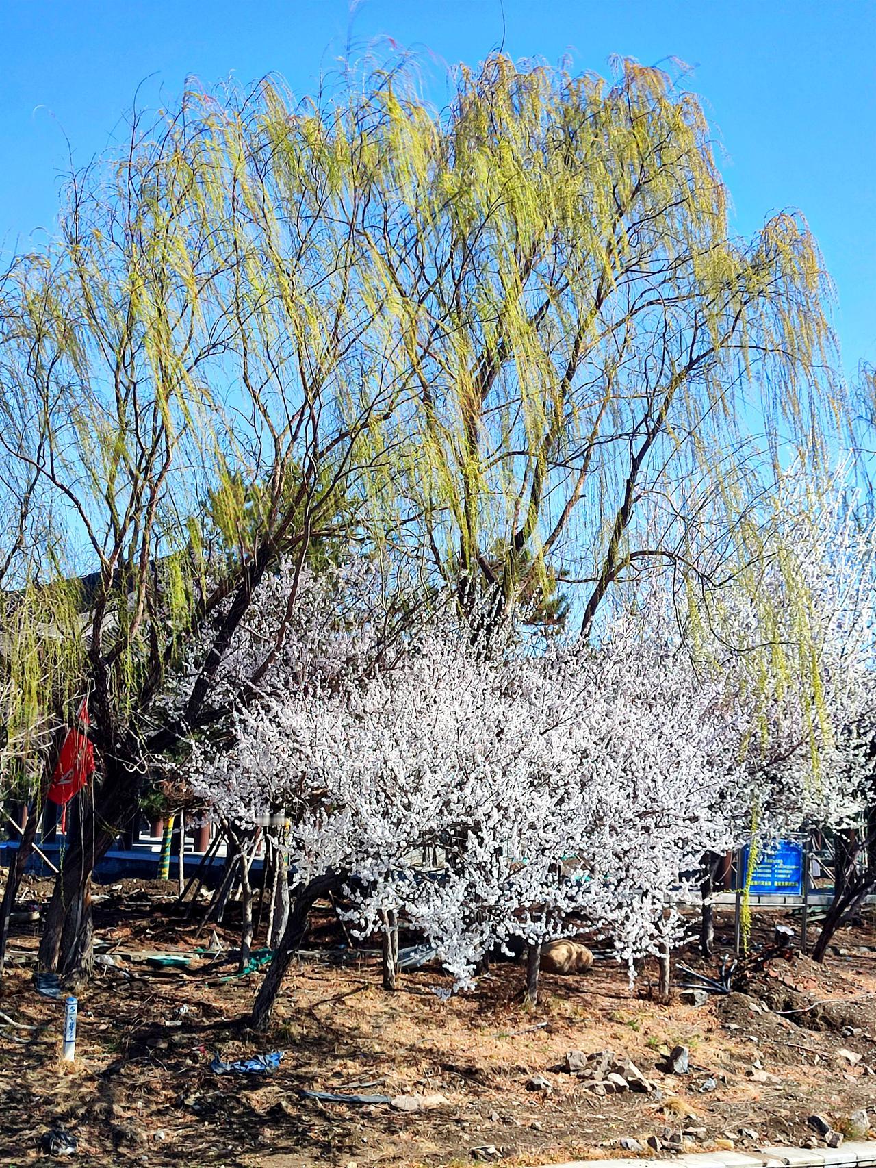 舍利塔滩地公园景色一观位于沈阳市塔湾街的，舍利塔滩地公园，是一座融合了千