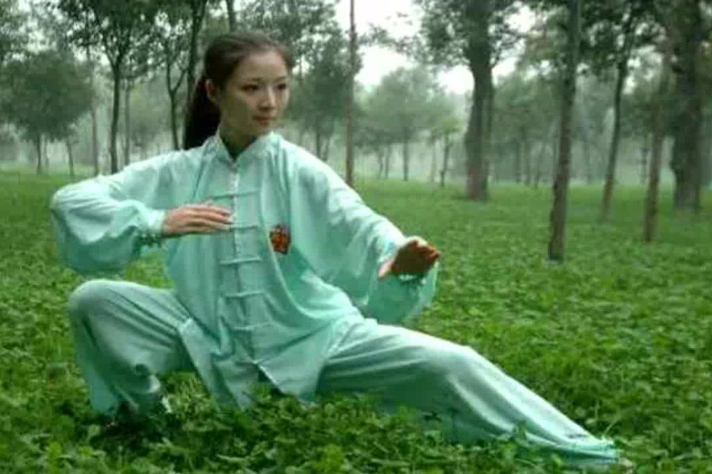 太极拳24式视频_莲花太极扇音乐红梅赞