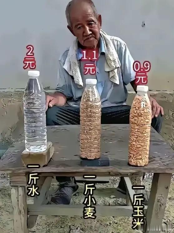 这一幕，你悟到了什么？
