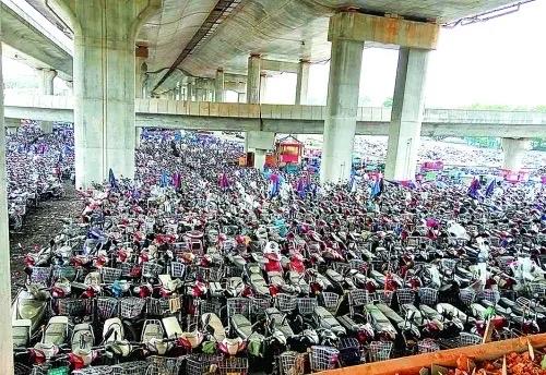 深圳惊现600万“电鸡”大军！每3人1辆，碾压私家车成出行霸主深圳人出行的“