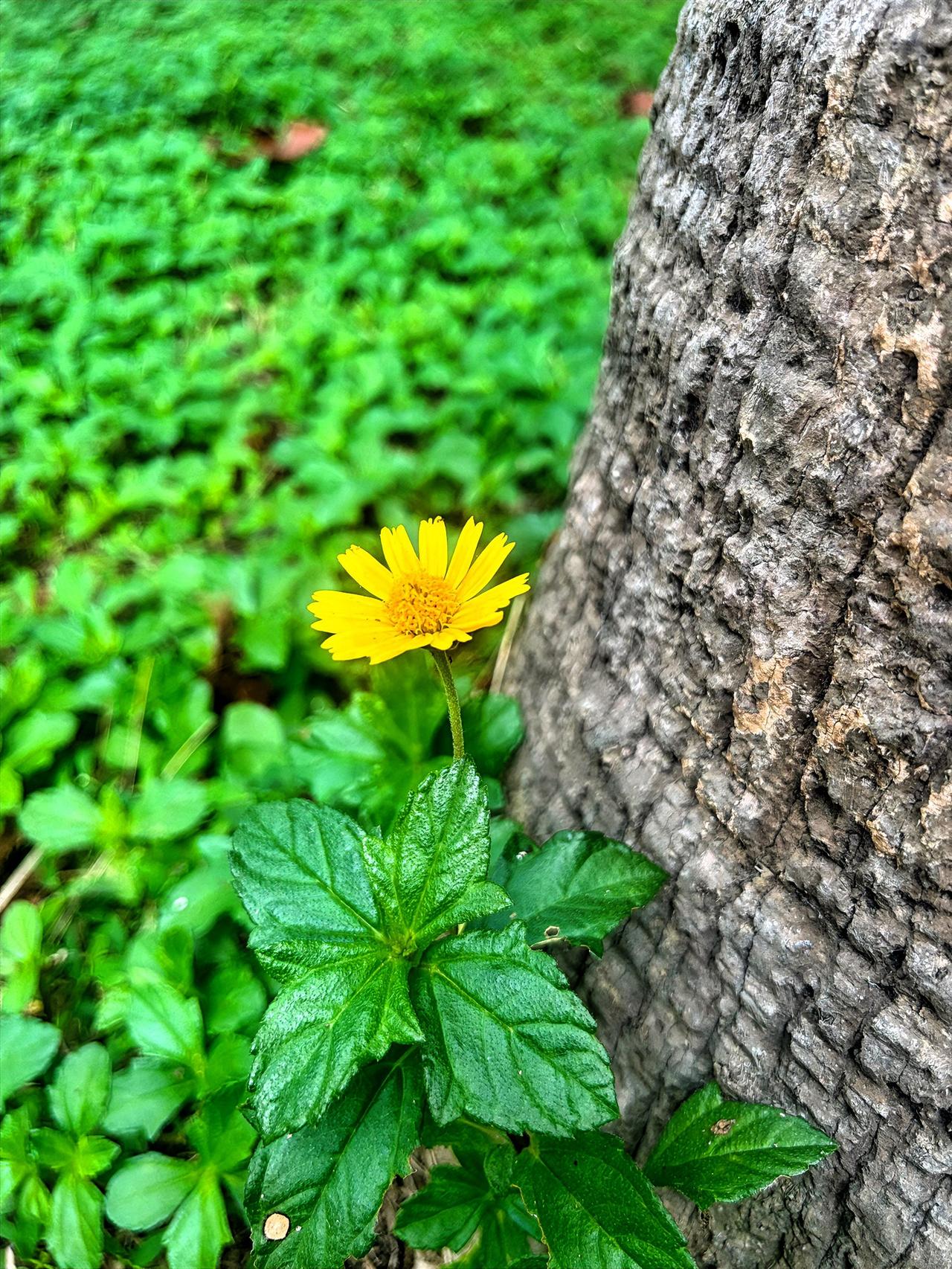 告诉你个“惊天秘密”什么血高‬压、高血脂、高血糖，说白了就是吃出来的！想想