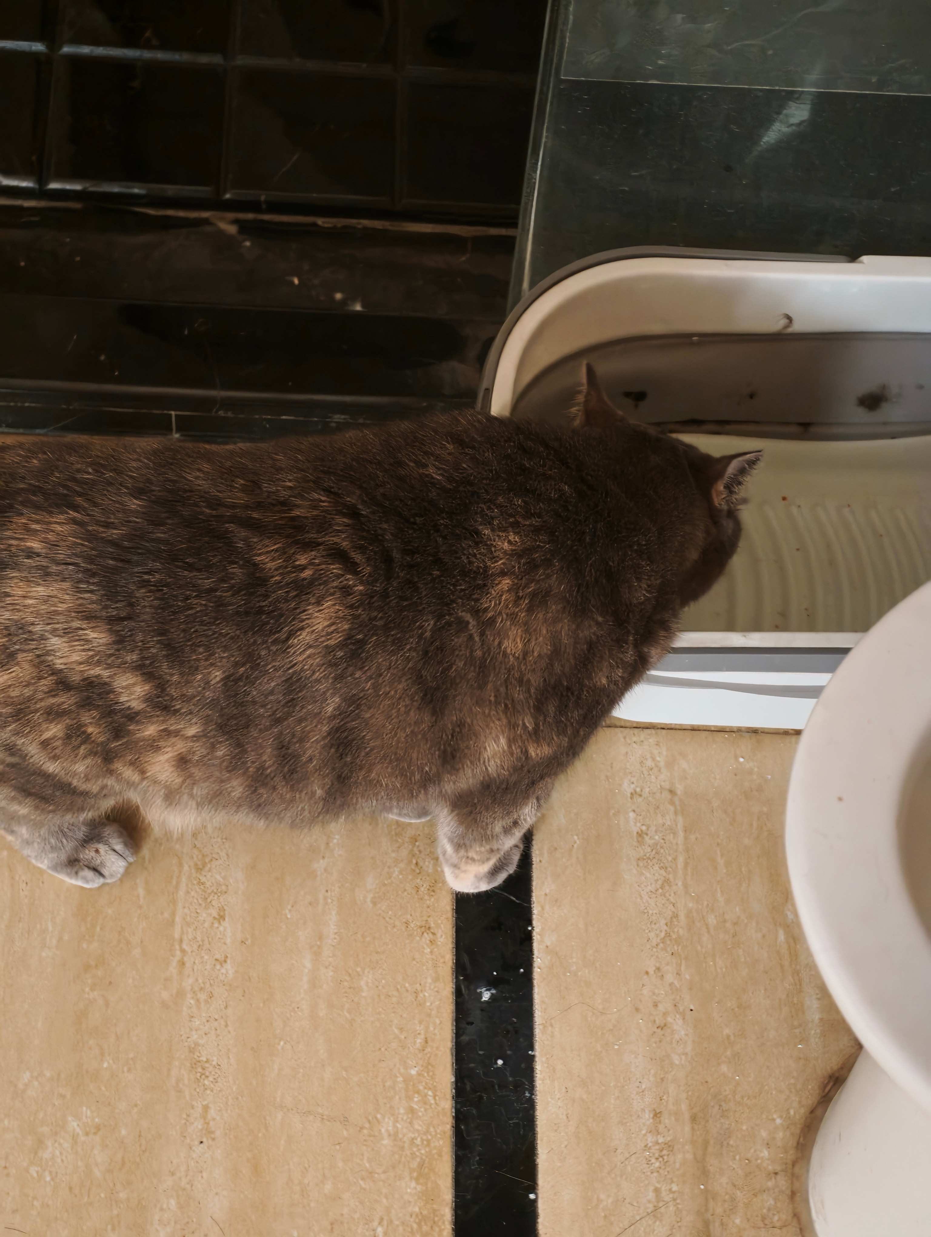 又接到个人保电话，又是在那边说我之前卖了好久的奥迪快过保了要我续他家保险，已经