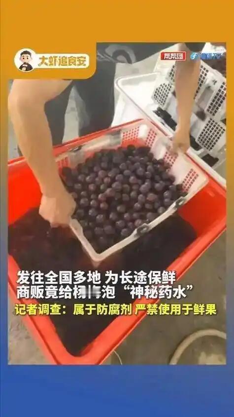 本来夏天吃口紫红饱满的杨梅是享受，结果福建漳州龙海这帮商贩硬是把时令鲜果搞成了“