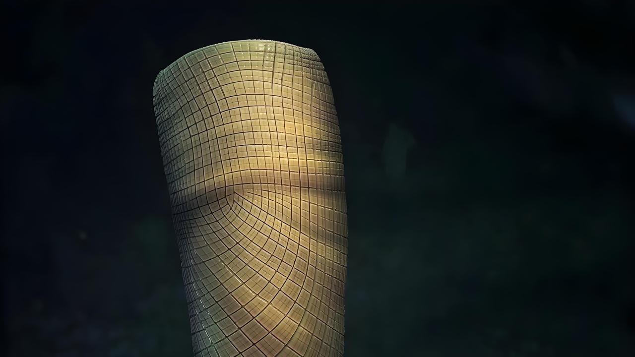 长江沿岸发现的5.5亿年前化石，填补了动物进化史上1.6亿年的空白。研究发现，最