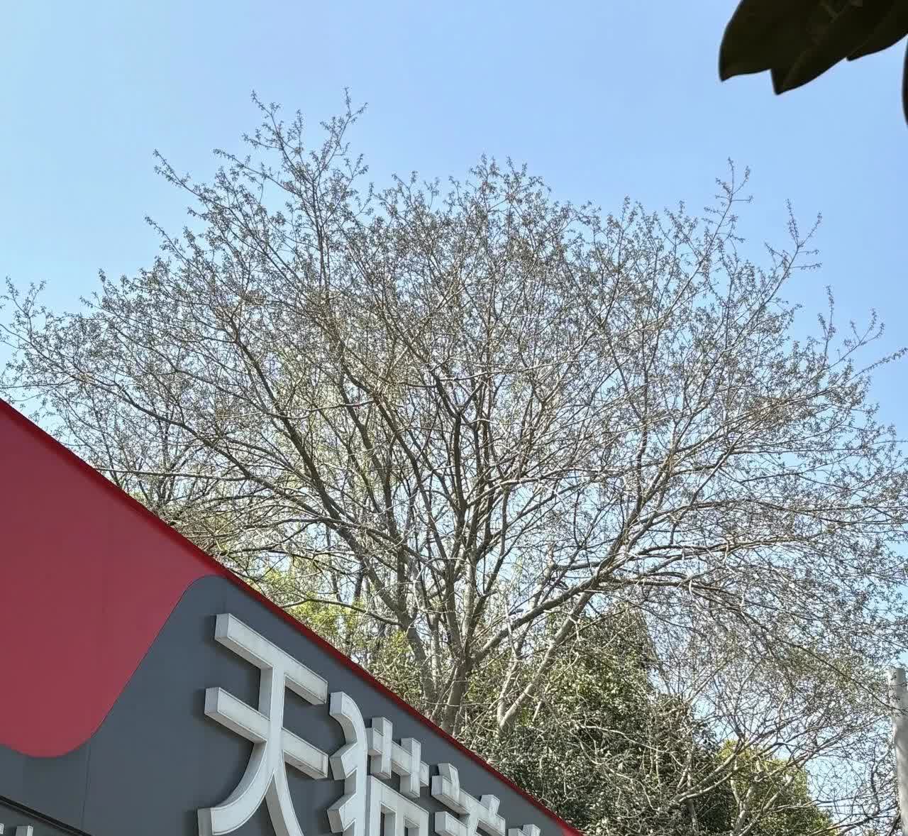 脱了4S的坑，又踩某猫某虎的雷随着网络资讯的发达，一般车主是越来越少进4