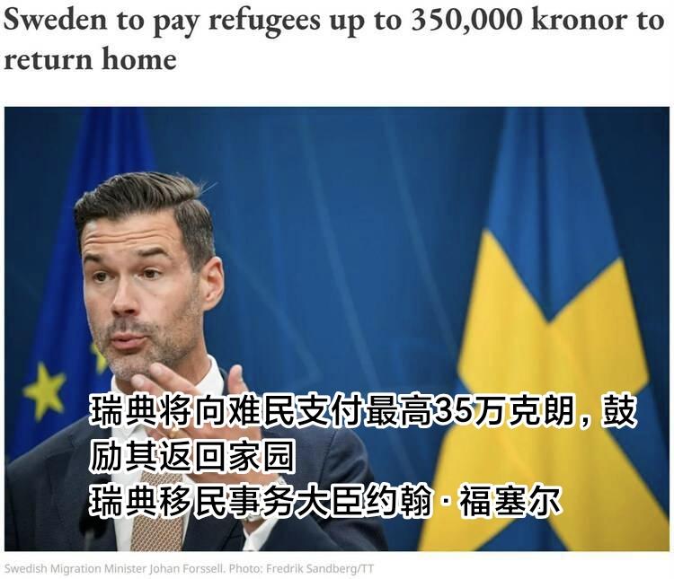 说真的，每次看到有人鼓吹咱们也得搞西方那套“大熔炉”，我都想直接把欧洲这几年的新