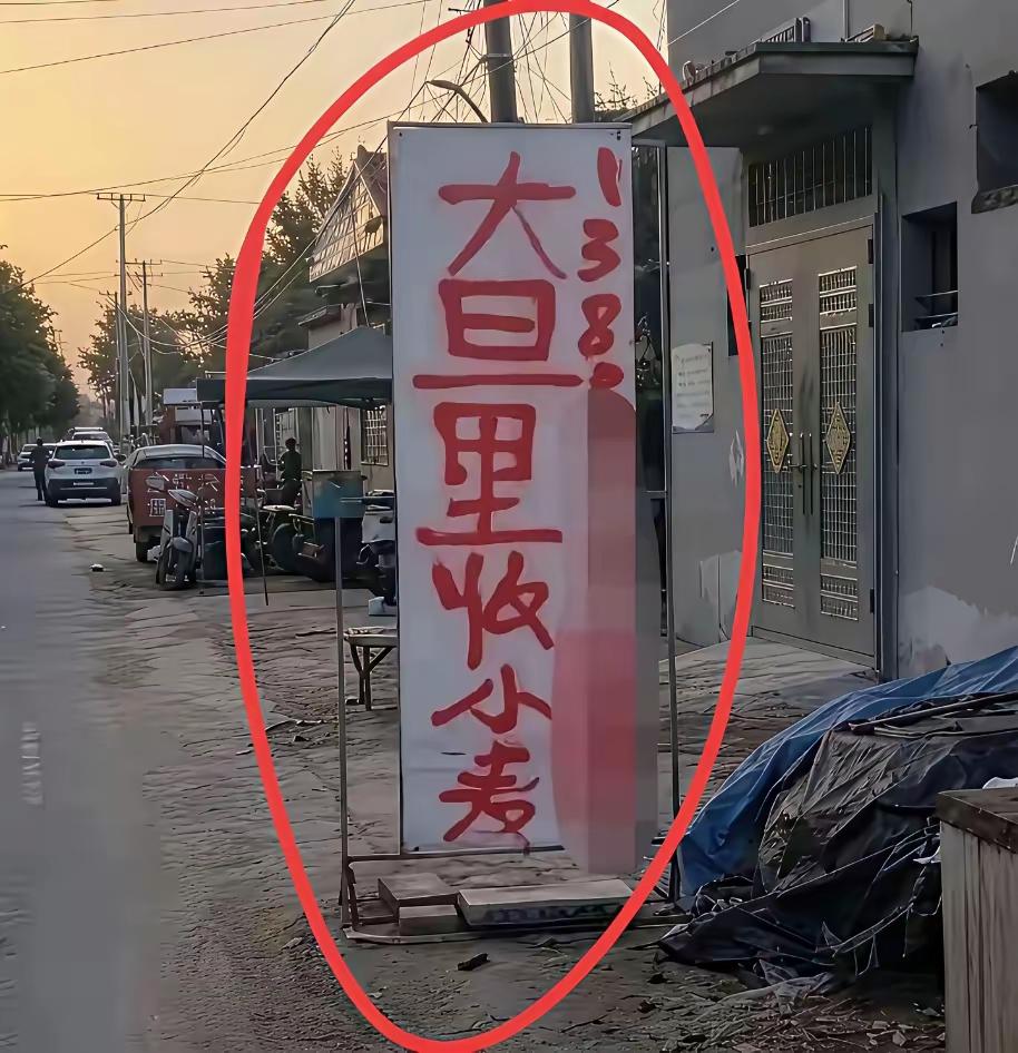 看了半天才看懂，是大量收小麦！[捂脸哭][捂脸哭][捂脸哭]