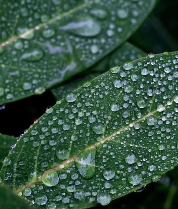 水逆退散公益救援在行动12星座比较拿手的事1.白羊座：一意孤行2.金牛座：在