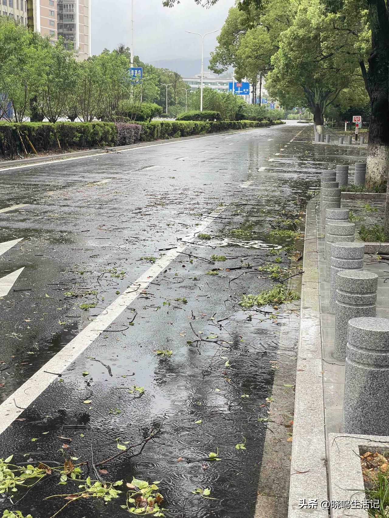 台风过后的路面