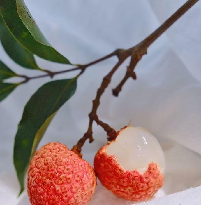 胭脂红裏白玉肌万里飞寄锦城西好朋友的问候恰如这夏日岭南新熟的荔枝清甜多汁