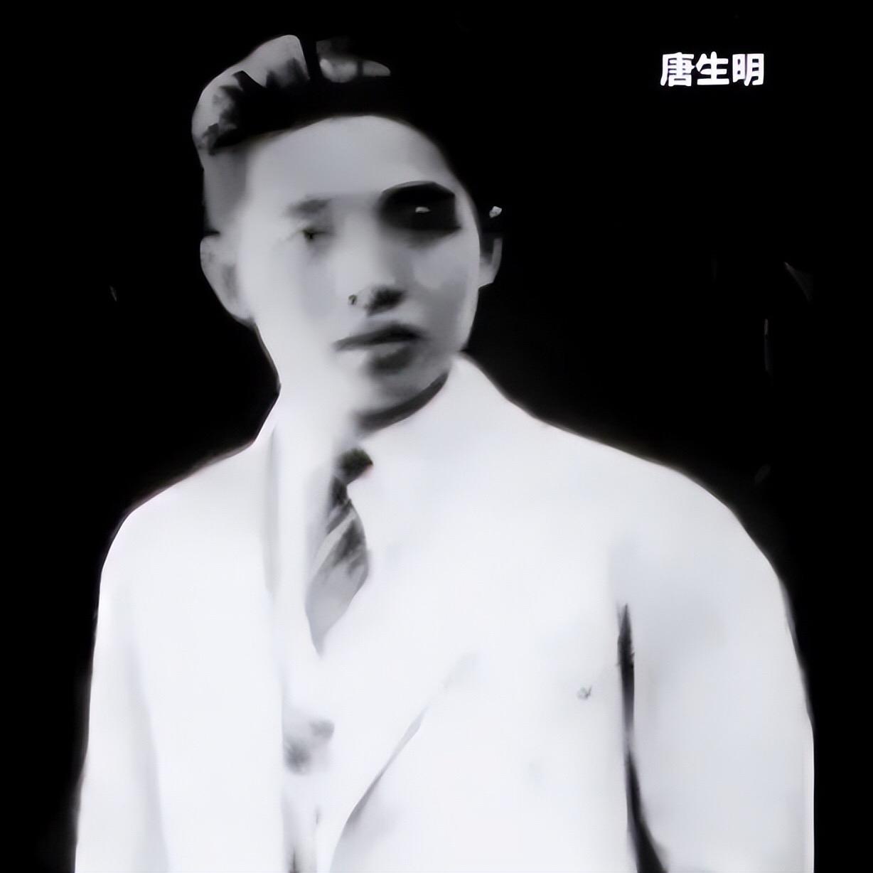 1940年南京，“世界军衔最高的间谍”唐生明受到汪精卫的亲自款待，汪精卫说：“你